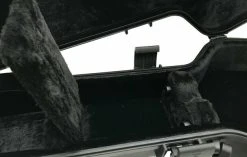 Pasadena 302CG Case For Classical Guitar -Ibanez Shop thumb d gallery base fa9a707d